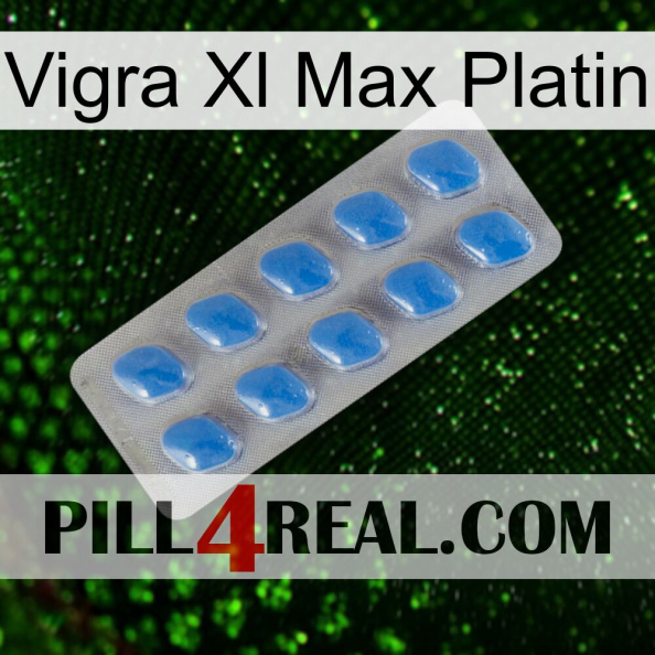 Vigra Xl Max Platinum 22.jpg